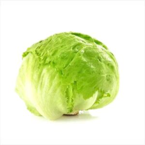Lechuga